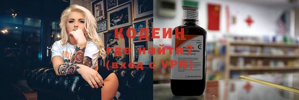 гашик Няндома